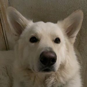 Meet your Posher, Lourdes